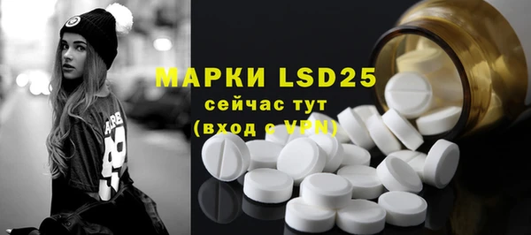 шишки Алзамай