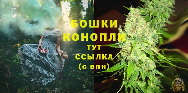шишки Алзамай