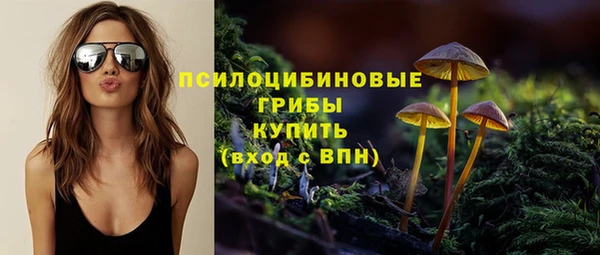 шишки Алзамай