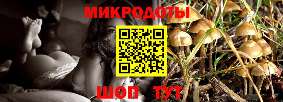 Красноярск  Галлюциногенные грибы ЛСД  Вход с VPN 