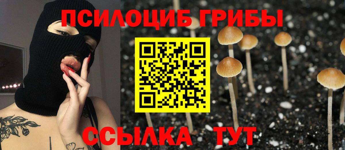 Псилоцибиновые грибы мухоморы Красноярск